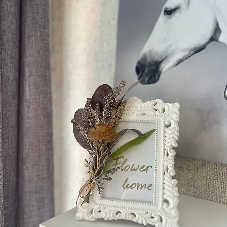 Flower House 6 Apartament