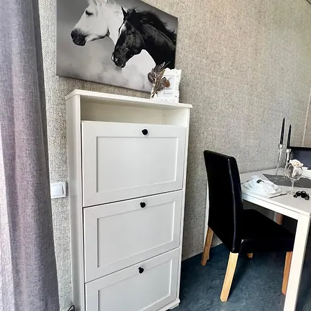 Flower House 6 公寓 *